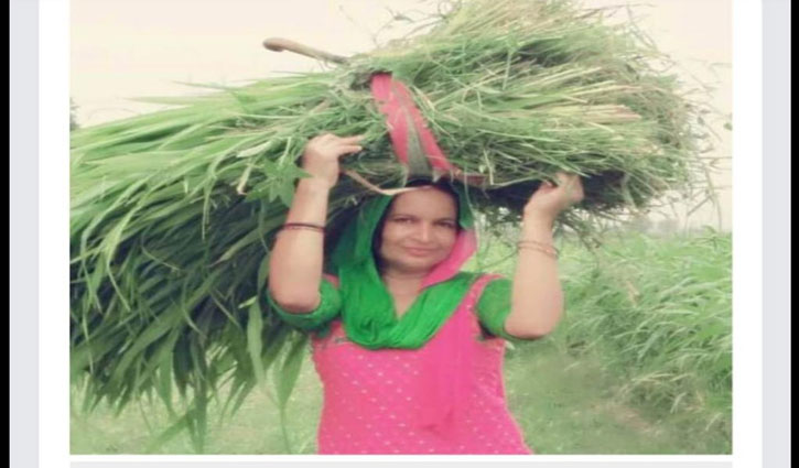 How Pooja Sharma became 'Agri-Business Queen' by carrying fodder on her head