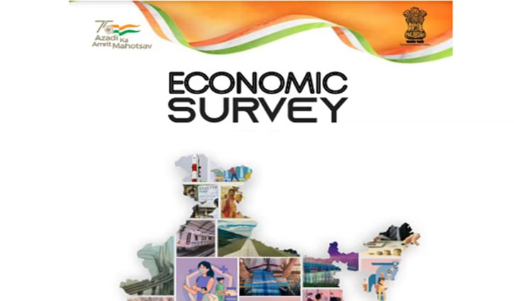 Economic Survey estimates GDP growth of 6.5% in 2023-24