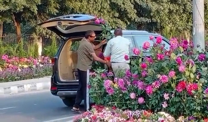 Gurugram property dealer arrested after video of theft of flower pots kept for G20 meeting goes viral